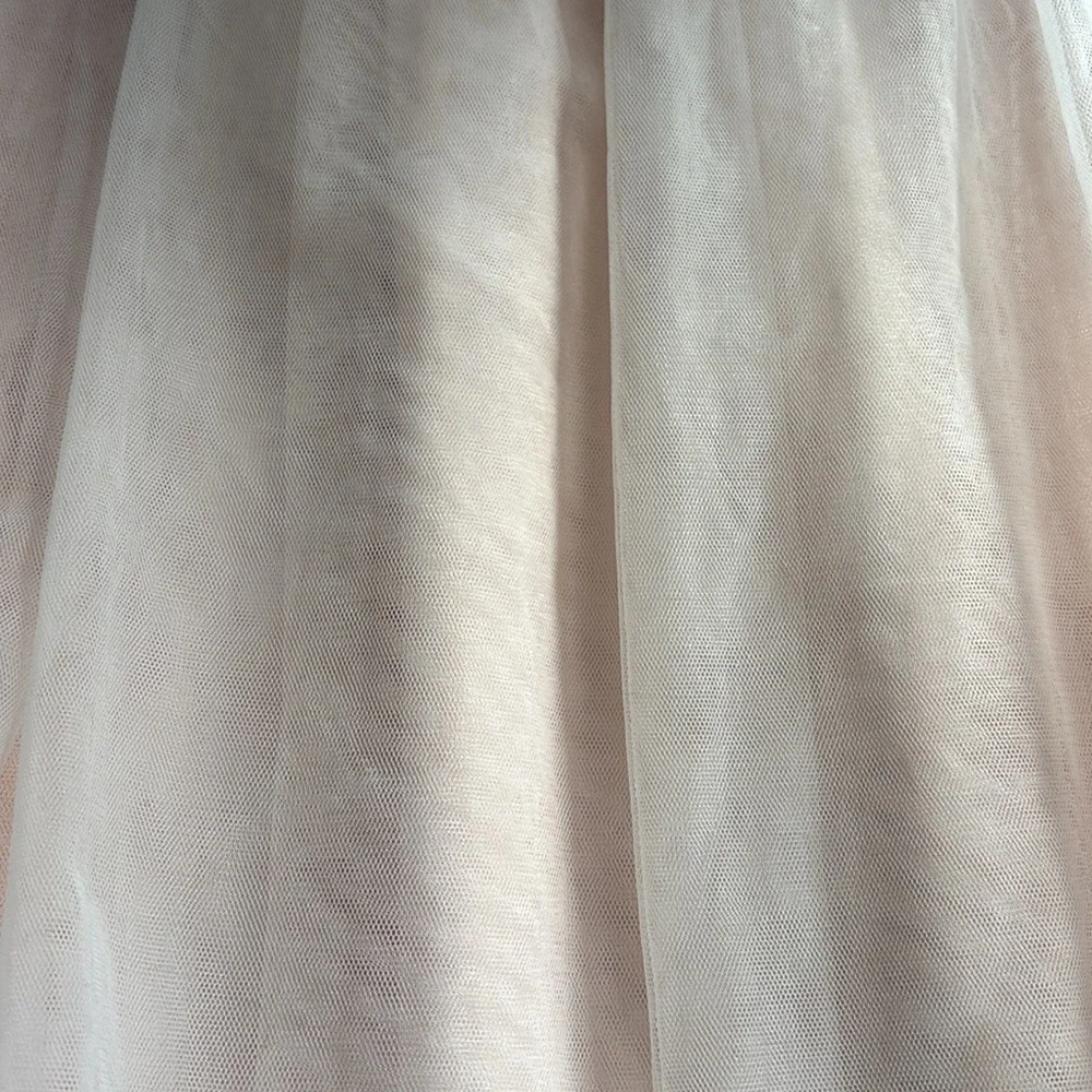 Abercrombie &Fitch Tulle Skirt - Picture 10 of 10